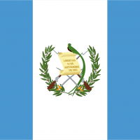 FLAGS-11 FLAGS-11