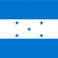 FLAGS-12
