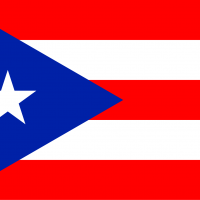 FLAGS-19 FLAGS-19